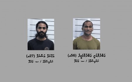 މަސްތުވާތަކެތި ބޭނުންކޮށް ފިޔަފާރި ކުރާކަމުގެ ތުހުމަތުގައި މާލެއިން ތިން މީހަކު ހައްޔަރުކޮށްފި