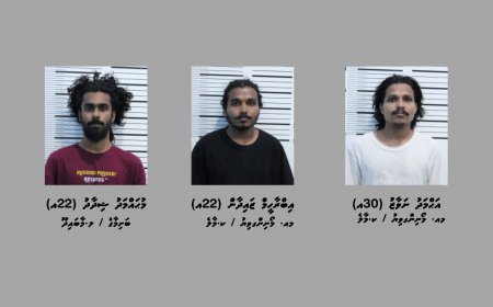 ގޭންގް ކުށްތަކުގެ އާ ޤާނޫނުގެ ދަށުން ހައްޔަރުކުރި މީހުންގެ ފޮޓޯއާއި ވަނަވަރު ޢާއްމުކޮށްފި