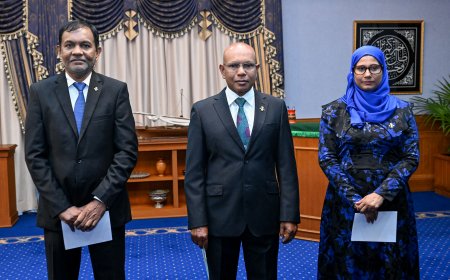 ކުރީގެ ރައީސް ނާސިހު ހިމެނިވަޑައިގަންނަވާ ގޮތަށް ސީއެސްސީ އަށް ތިން މެމްބަރުން އައްޔަންކުރައްވައިފި