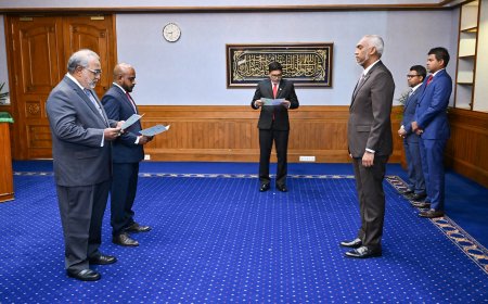 ހިޔުމަންރައިޓްސް ކޮމިޝަންގެ މެމްބަރު ކަމަށް ދެ ބޭފުޅުން އައްޔަންކުރައްވައިފި
