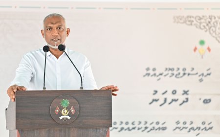 ރައްޔިތުން ބޭނުން ނުވާތީ ދޮންފަނު ބިން ނުހިއްކަން ނިންމައިފި