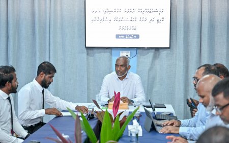 ބިންހިއްކުމުގެ މަސައްކަތް އަވަސްކޮށްދޭން ދޮންފަނު ކައުންސިލުން ގޮވާލައިފި