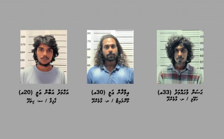 ލަންދުއަށް މަސްތުވާތަކެތި އެތެރެކުރި އެހެން ދެ ރަށެއްގެ ތިން މީހަކު ހައްޔަރުކޮށްފި