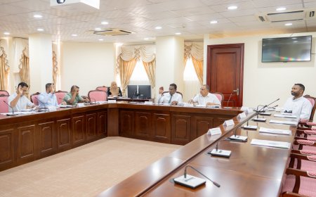 ކޮމިޓީއަށް ތިން ނޫސްވެރިން ވަނީވެސް ސިއްރު ބައްދަލުވުމެއްކަން އަންގާފައިވަނިކޮށް- މަޖިލިސް