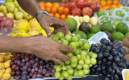 މޭވާއާއި ތަރުކާރީ އެތެރެކުރާނީ ފާއިތުވި އަހަރު އެންމެ ގިނައިން އެތެރެކޮށްފަހުރި ބާވަތްތައް ބަލައިގެން- ސައީދު