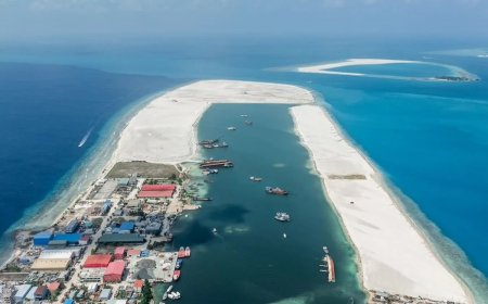 ތިލަފުށީގައި ލަންކާ މީހެއްގެ ގައިމަތިން ޕިކަޕެއްގޮސް, ސީރިއަސް ހާލަތެއްގައި