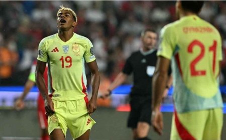 ޔަމާލް އާ މެދު 'ފަރުވާކުޑަކުރިކަމަށް' ބުނެ ބާސެލޯނާގެ ކޯޗް ފްލިކްގެ ނުރުހުން ސްޕެއިން އަށް