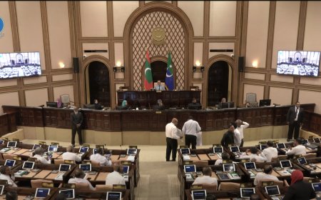 މީޑިޔާ ބިލް ފާސްކޮށްފި