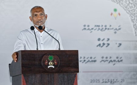 މުލަކަށް މަސްވެރިކަން ފުޅާކުރުމަށް އެހީވެދޭ މަޝްރޫޢުތަކެއް