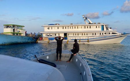 ފަރަށްއެރި މެގަހޯރަ ބޯޓް ފުންކޮށްފި, މީހަކަށްވެސް ބޯޓަށްވެސް ގެއްލުމެއް ނުލިބޭ