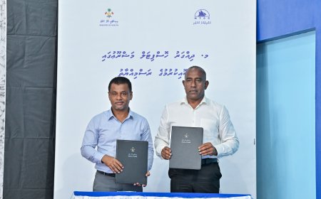 ދިއްގަރުގައި ހޮސްޕިޓަލެއް އަޅަން އެމްޓީސީސީއާ ހަވާލުކޮށްފި