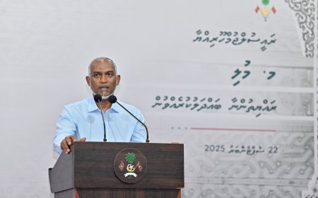 މުލީ ހައުސިންގ ޔުނިޓްތަކުގެ މަސައްކަތް އަންނަ އަހަރަށް