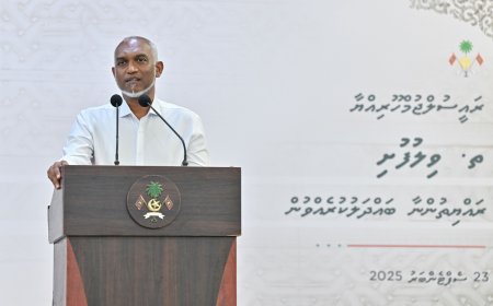 ވިލުފުށި އެއަޕޯރޓްވެސް ދެ އަހަރު ބައިން ނިންމަނީ