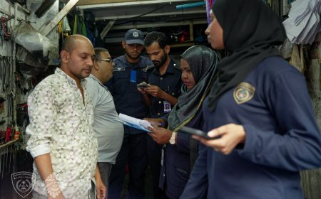 ދެ ގަޑިއިރު ތެރޭގައި 81 ބިދޭސީން އިމިގްރެޝަންގެ ބެލުމުގެ ދަށަށް!