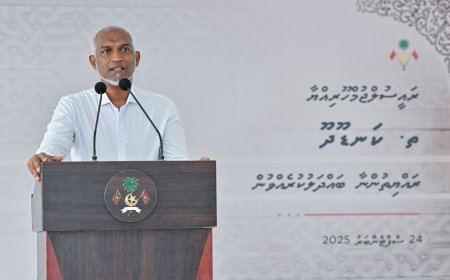 އެސްޓިއޯ މެދުވެރިކޮށް ބާޒާރަށް މިރުސް ނެރޭނީ ކަނޑޫދޫ މީހުންނަށް ގެއްލުން ނުވާގޮތަށް- ރައީސް