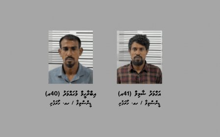 މަސްތުވާތަކެތީގެ މައްސަލައެއްގައި އަނެއްކާވެސް ދެބެން ހައްޔަރުކޮށްފި