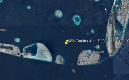 ކާގޯ ބޯޓުން ކަނޑަށް ވެއްޓުނު މީހާގެ ހަށިގަނޑު ފެނިއްޖެ