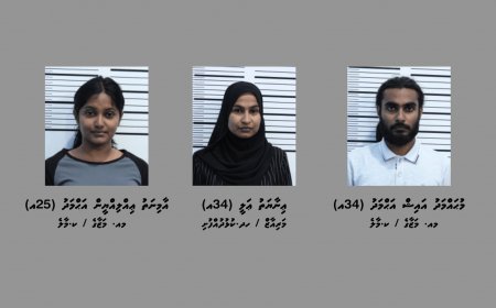 މަސްތުވާތަކެތީގެ މައްސަލައެއްގައި ހޭޔަމްބޯ ޕްރެޒެންޓަރ އިނާޔަތުއާ އިތުރު ދެމީހަކު ހައްޔަރުކޮށްފި