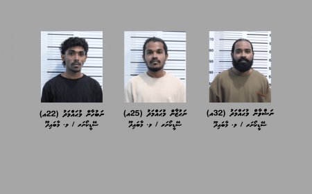 މަނާ ތަކެތި އެތެރެކޮށްގެން ހައްޔަރުކުރީ މާބައިދޫ ތިން ބެއިން