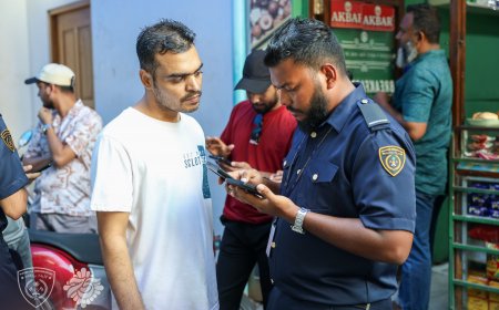 ގަވާއިދާ ހިލާފަށް ވިޔަފާރިކުރާ ބިދޭސީންނާއި އެފަދަ ވިޔަފާރިތަކުގައި ބައިވެރިވާ މީހުން ފޮނުވާލަނީ