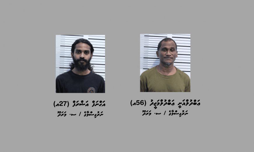 މަސްތުވާތަކެތި ބޭނުންކޮށް ފިޔަފާރި ކުރާކަމުގެ ތުހުމަތުގައި މާލެއިން ތިން މީހަކު ހައްޔަރުކޮށްފި