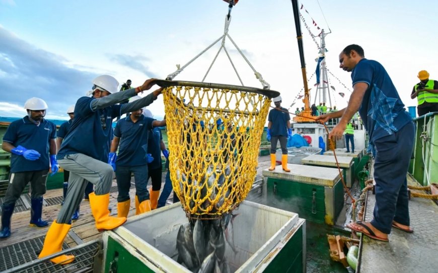 އަހަރުގެ ފުރަތަމަ 7 މަސް ދުވަހު މަސް އެކްސްޕޯޓްކުރި މިންވަރު އިތުރު- މަސްވެރިކަމާބެހޭ ވުޒާރާ