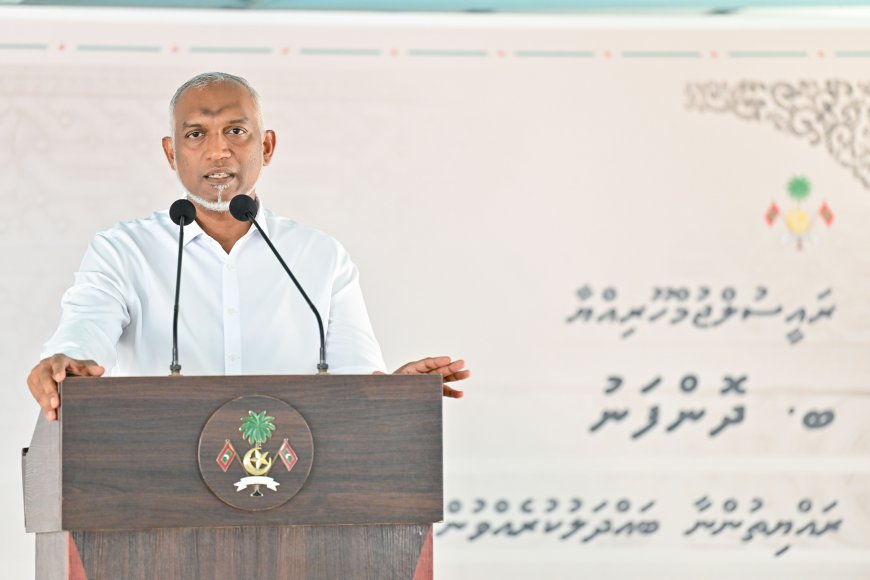 ރައްޔިތުން ބޭނުން ނުވާތީ ދޮންފަނު ބިން ނުހިއްކަން ނިންމައިފި