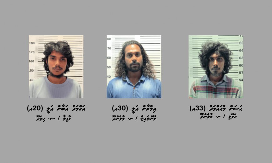 ލަންދުއަށް މަސްތުވާތަކެތި އެތެރެކުރި އެހެން ދެ ރަށެއްގެ ތިން މީހަކު ހައްޔަރުކޮށްފި