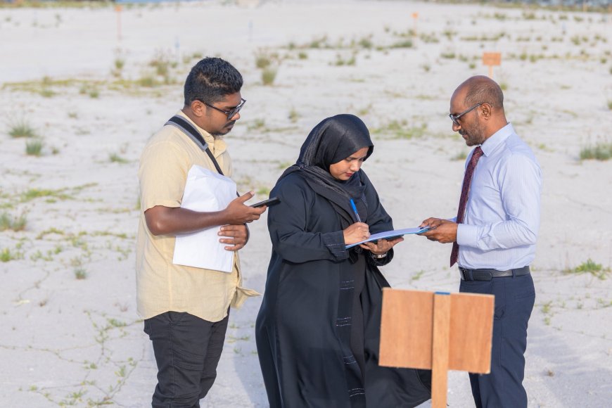 ގުޅިފަޅުން ގޯތި ހަވާލުކުރަން ފަށައިފި