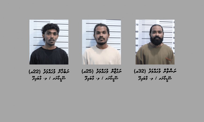 މަނާ ތަކެތި އެތެރެކޮށްގެން ހައްޔަރުކުރީ މާބައިދޫ ތިން ބެއިން
