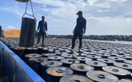 ފުވައްމުލަކު މަގުހެދުން: ތާރު އަދި އިތުރު ސާމާނު ގެންގޮސްފި