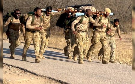 ޕެޓްސް މުބާރާތުގައި ބައިވެރިވި އެމްއެންޑީއެފް ޓީމުން ރަން މެޑެލި ހާސިލުކޮށްފި