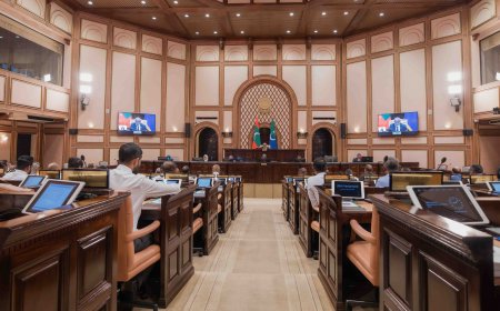 ރިޔާސީ އިންތިޚާބާއި، ރައްޔިތުން މަޖިލީހުގެ އިންތިޚާބު އެއްކޮށްލަން މަޖިލީހުން ފާސްކޮށްފި