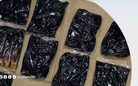   29 މިލިއަން ރުފިޔާގެ މަސްތުވާތަކެތި ކަސްޓަމްސްއިން އަތުލައިގެންފި