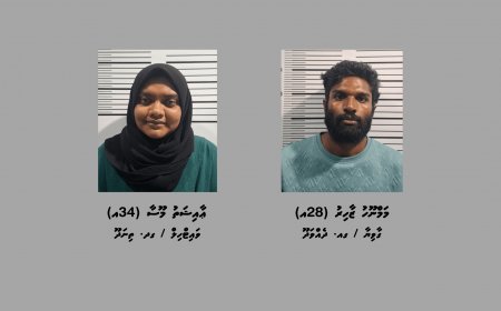ދެއްވަދޫއަށް މަސްތުވާތަކެތި އެތެރެކުރަން އުޅުނު ދެ މީހަކު ހައްޔަރުކޮށްފި