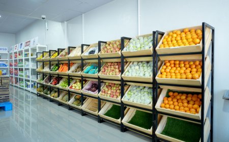 މި ރަދަ މަހު އަސާސީ 26 ބާވަތެއް އެސްޓީއޯގެ އައުޓްލެޓްތަކުން ހެޔޮ އަގުގައި ލިބޭނެ