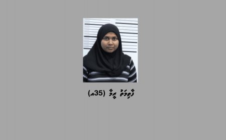 ކުޑަ ކުއްޖަކު ގްރޫމްކޮށް ޖިންސީގޯނާކުރި ކަމުގެ ތުހުމަތުގައި އަންހެނަކު ހައްޔަރުކޮށްފި