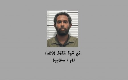 ކުޑަކުދިންގެ އޮރިޔާން ކާޑު ގެންގުޅުނު ކަމުގެ ތުހުމަތުގައި މީހަކު ހައްޔަރުކޮށްފި