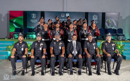 ކަރެކްޝަންސްގެ ޚިދުމަތްތައް ހަރުދަނާކުރުމަށް "މައި އެމްސީއެސް" ޕޯޓަލް މާދަމާ ތައާރަފުކުރަނީ