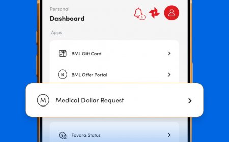 ބޭސްފަރުވާއަށް ރާއްޖެއިން ބޭރަށްދާ ފަރާތްތަކަށް ބީއެމްއެލް އެޕް މެދުވެރިކޮށް ޑޮލަރަށް އެދެވޭގޮތް ހަދައިފި