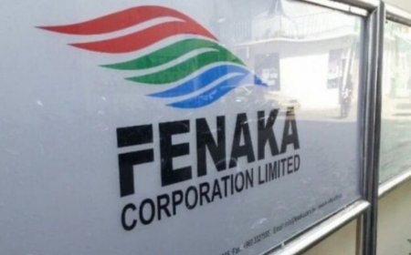 ހަތަރު ރަށަކަށް ބޭނުންވާ އާ ޖަނަރޭޓަރުތައް ފެނަކައިން ރާއްޖެއަށް ގެނެސްފި