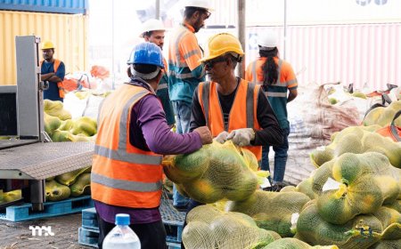 ޑިސެންބަރު މަހު އިމްޕޯޓް އެކްސްޕޯޓުން 325 މިލިޔަން ރުފިޔާ ލިބިފައިވޭ