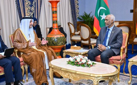 UAE Ambassador to the Maldives Bids Farewell to the President