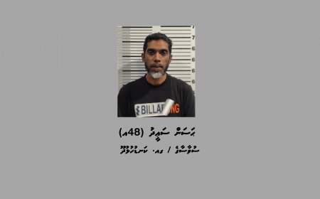 މަސްތުވާތަކެތީގެ މައްސަލައެއްގައި ކަނޑުހުޅުދޫއިން މީހަކު ހައްޔަރުކޮށްފި