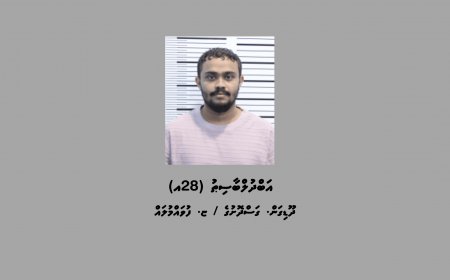 މަސްތުވާތަކެތި ޓްރެފިކްކުރި މީހަކު 75 އަހަރަށް ޖަލަށްލައި، ބޮޑު އަދަދަކުން ޖޫރިމަނާކޮށްފި