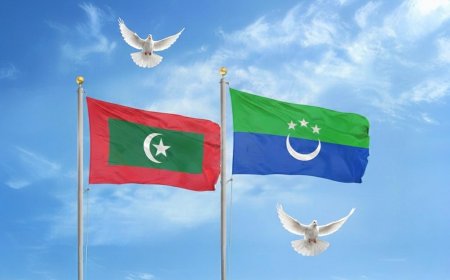 ދެ އިންތިޚާބު 1 ދުވަހެއްގައި ބޭއްވުން: ސިޔާސީ ހަލަބޮލިކަމަށް ނިމުމެއް!