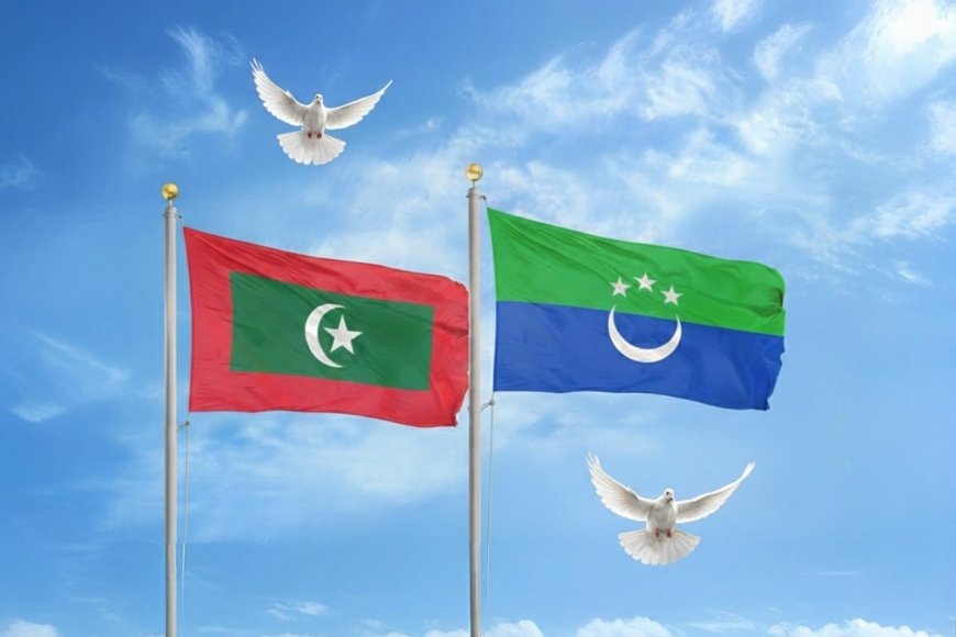 ދެ އިންތިޚާބު 1 ދުވަހެއްގައި ބޭއްވުން: ސިޔާސީ ހަލަބޮލިކަމަށް ނިމުމެއް!