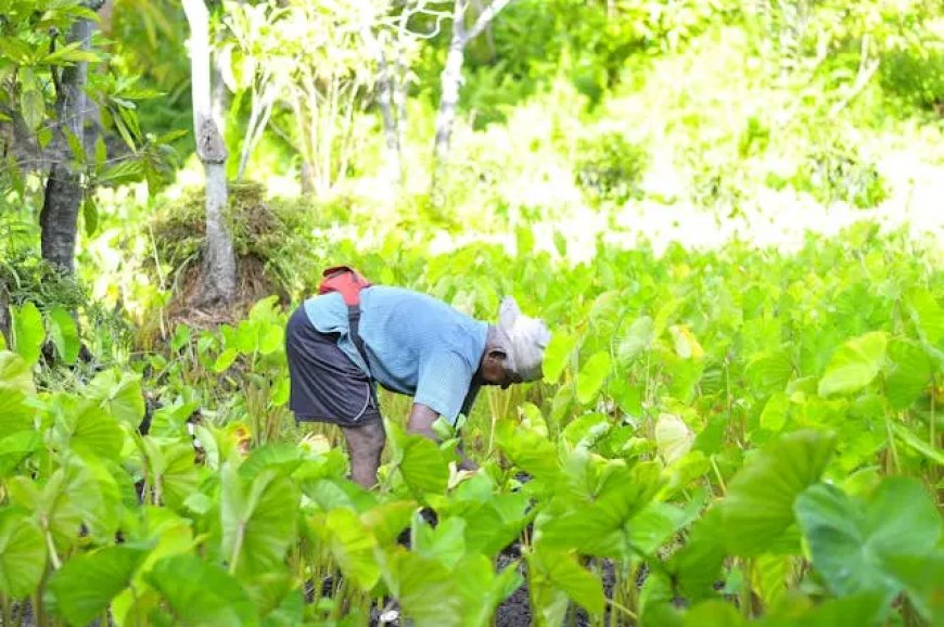 Maldives Empowers Local Farmers with International Training in Sri-Lanka