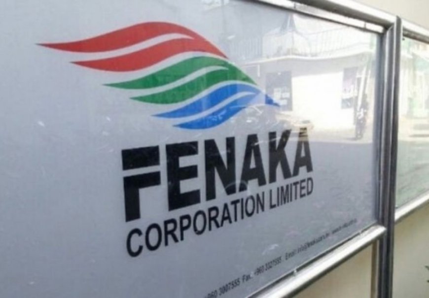 ހަތަރު ރަށަކަށް ބޭނުންވާ އާ ޖަނަރޭޓަރުތައް ފެނަކައިން ރާއްޖެއަށް ގެނެސްފި