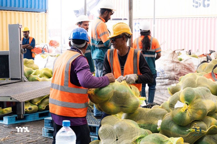 ޑިސެންބަރު މަހު އިމްޕޯޓް އެކްސްޕޯޓުން 325 މިލިޔަން ރުފިޔާ ލިބިފައިވޭ